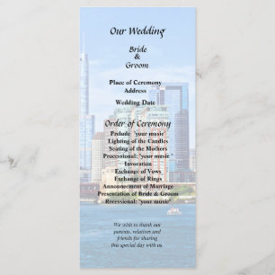 Chicago IL - View From Lake Michigan Program