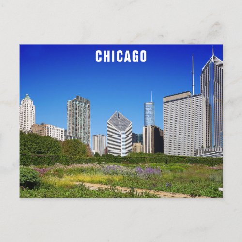 Chicago Illinois City Skyline Travel Photo Postcard