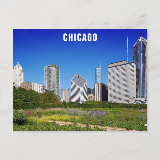 Chicago Illinois City Skyline Travel Photo Postcard (Front)
