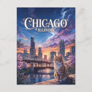 Chicago Illinois Postcard