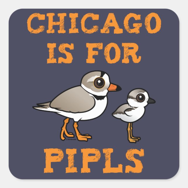 Chicago is for PIPLs Square Sticker (Front)