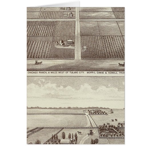 Chicago, Kay ranches Cards (Front)