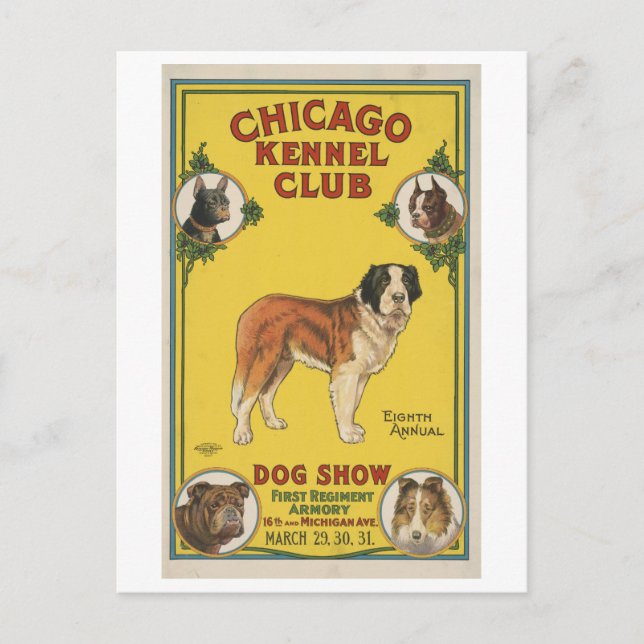 Chicago Kennel Club Dog Show Vintage Advertisement Postcard (Front)