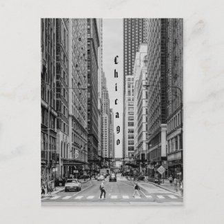 Chicago Madison Street Grayscale Postcard