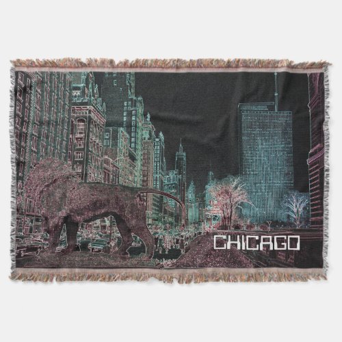 CHICAGO MICHIGAN AVENUE  ART MUSEUM 1967 NEON THROW BLANKET