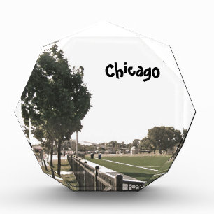 Chicago Park Sepia Tones Award