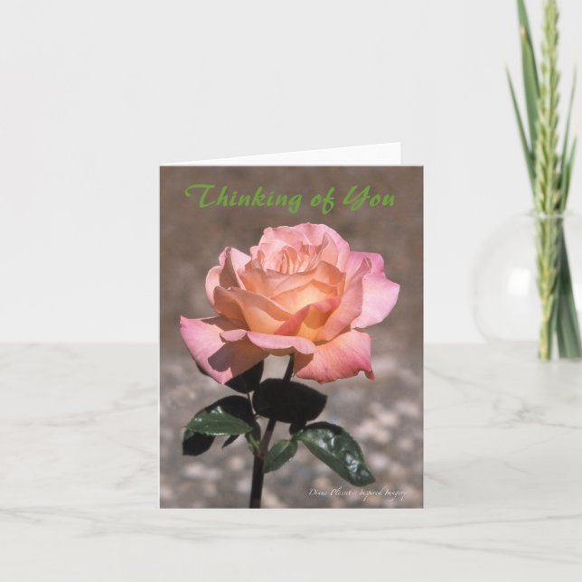 Chicago Peace Rose Card (Front)