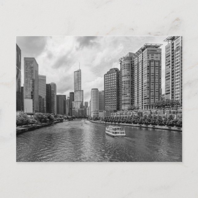 Chicago River And Trump Tower Grayscale Postcard (Front)