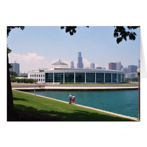 Chicago Shedd Aquarium collection