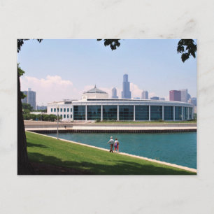 Chicago Shedd Aquarium collection Postcard