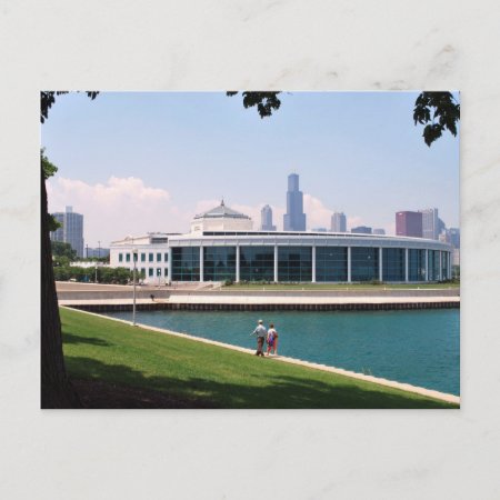 Chicago Shedd Aquarium Postcard