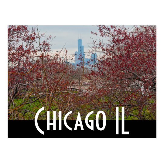 chicago - the bean postcard