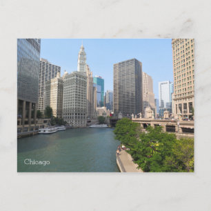 Chicago USA Postcard