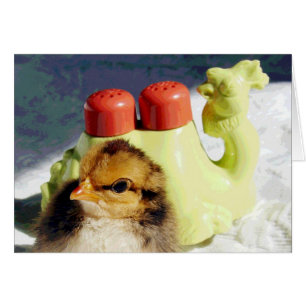 Chick and Camel Cards