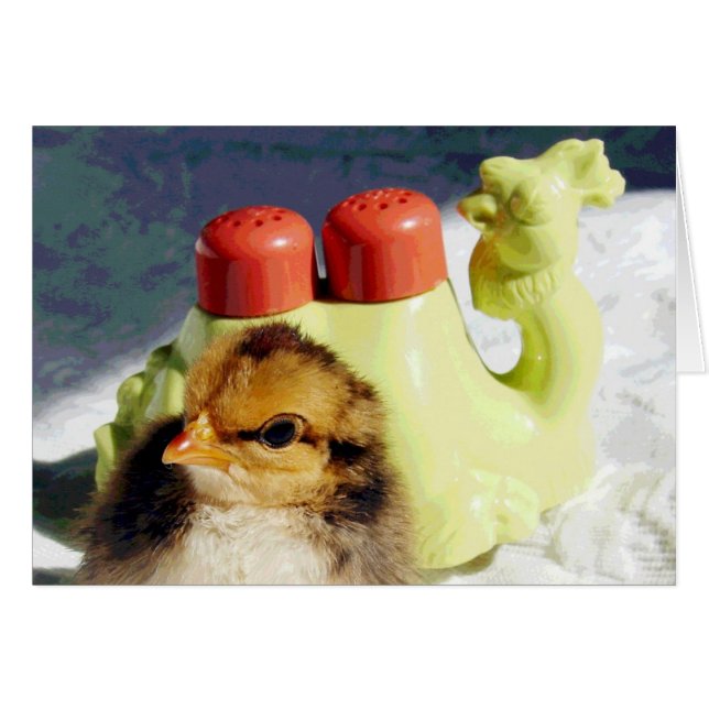 Chick and Camel Cards (Front Horizontal)