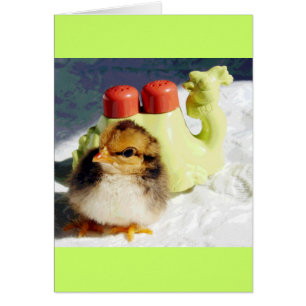 Chick and Camel Cards