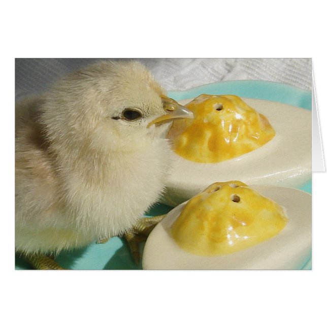 Chick and Deviled Eggs 2 Cards (Front Horizontal)