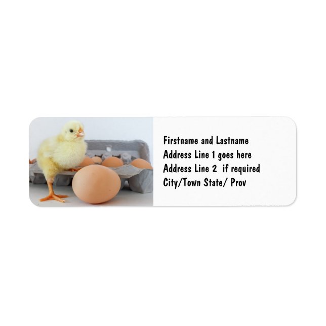 Chick and Egg Carton with Brown Egg Label (Front)