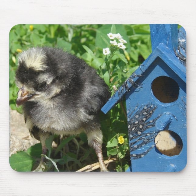 Chick and Mixed Media Birdhouse Mouse Pad (Front)