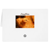 Chick Cards (Back Horizontal)