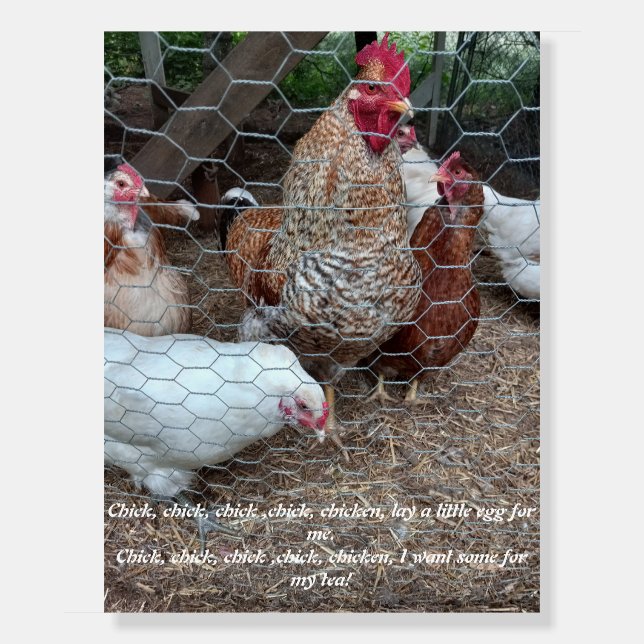 "chick, chick chicken fun nursery decor foam board (Front)
