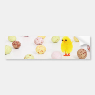 chick eggs easter bumper sticker
