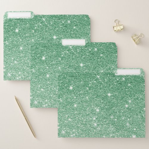 Chick Faux Emerald Green Ombre Glitter Luxury Glam File Folder