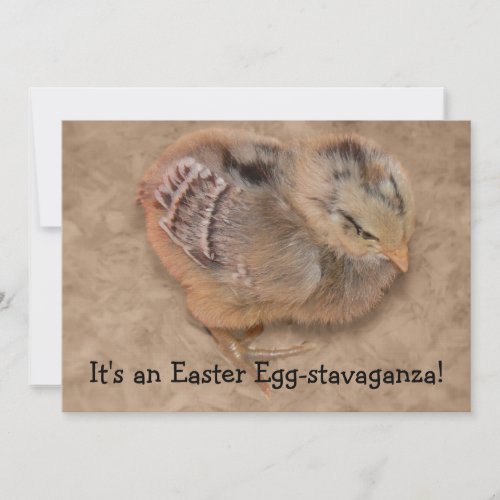 Chick - Fluffy Baby Chicken Easter Custom Invites