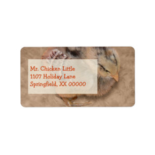 Chick - Fluffy Baby Chicken Label