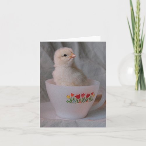 Chick in A Vintage Teacup All Ocassion Digital Art Card