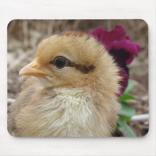Chick in Pansy Garden Mouse Pad (Front)