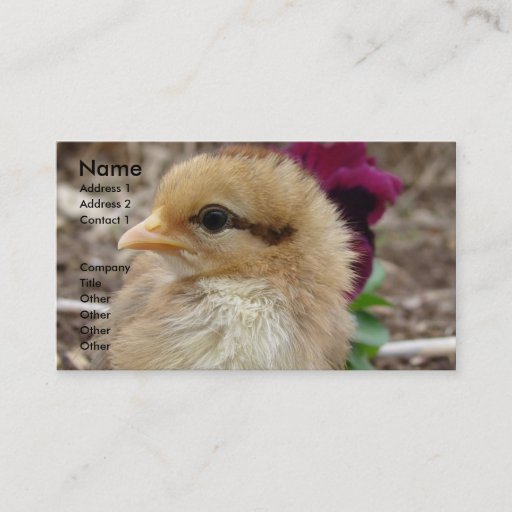 Customizable Chick in the Garden Business Card Template