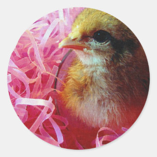 Chick in Wine Glass Classic Round Sticker