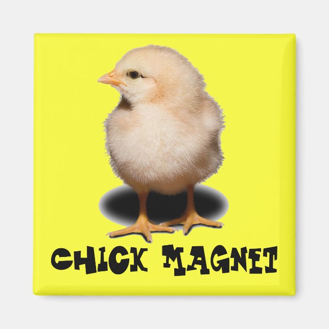 Chick Magnet (Front)