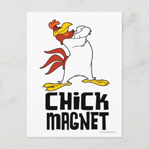 Chick Magnet Postcard