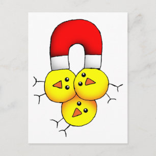 Chick Magnet Postcard