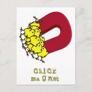 Chick Magnet Postcard