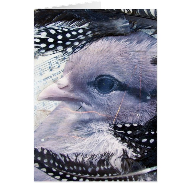 Chick Mixed Media Collage Cards (Front)