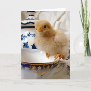 Chick on a Teacup by Angelandspot Card