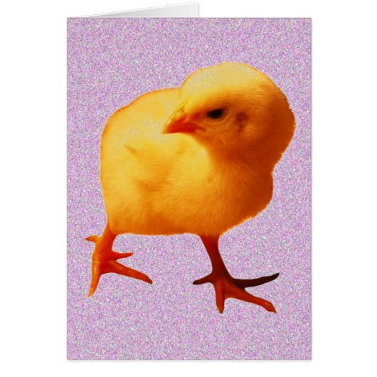 Chick On The Move Cards (Front)