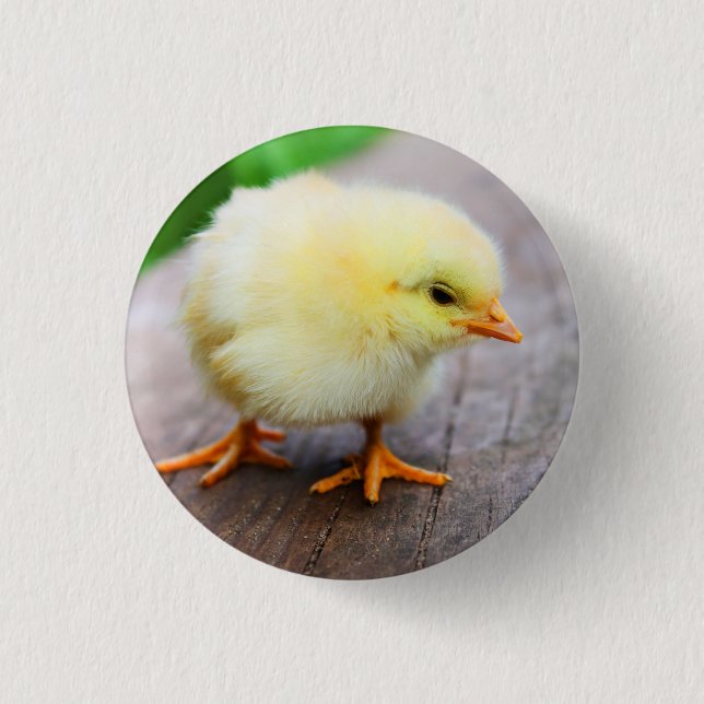 Chick Pin (Front)