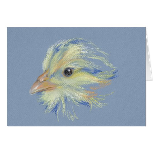 Chick Plymouth Barred Rock Cards (Front Horizontal)