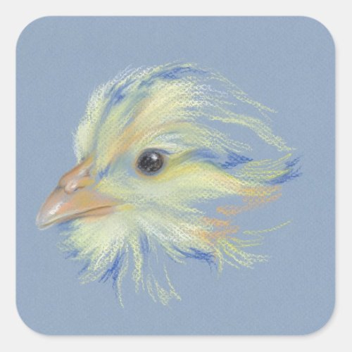 Chick Plymouth Barred Rock Square Sticker