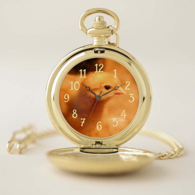 Chick Pocket Watch (Inside)