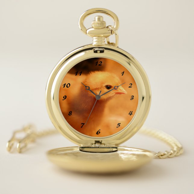 Chick Pocket Watch (Inside)
