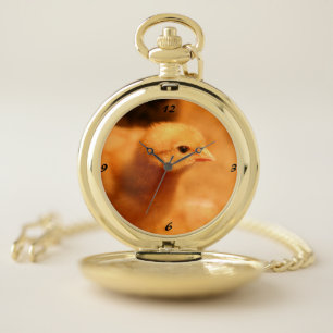 Chick Pocket Watch