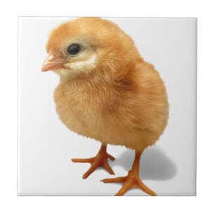 Chick Tile