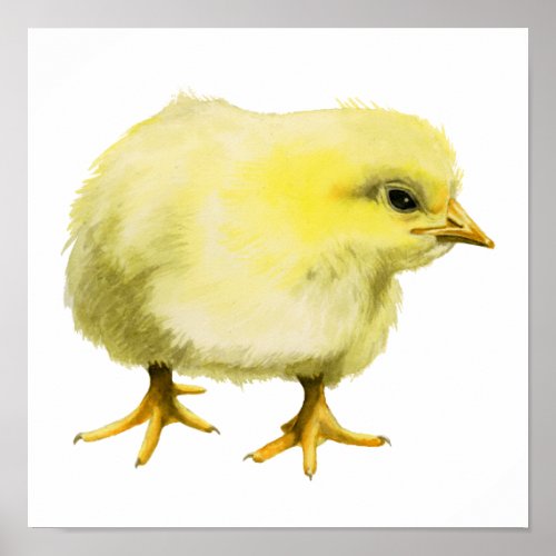 Chick Watercolor Painting Poster