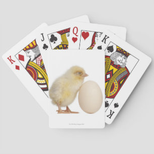 Chick with egg (2 days old) poker cards