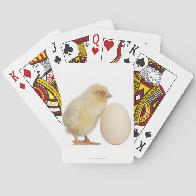 Chick with egg (2 days old) poker cards (Back)